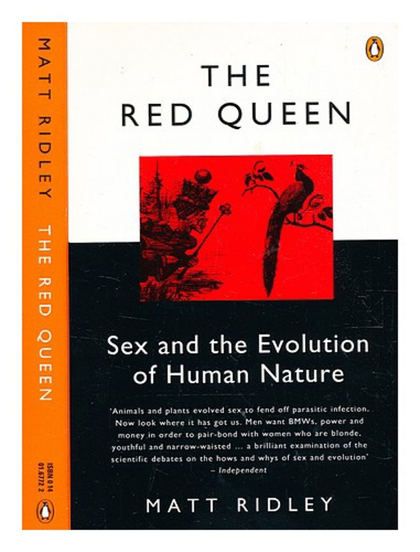 cardinal